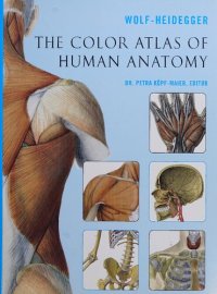 cover of the book The color atlas of human anatomy