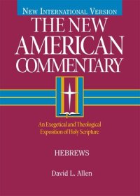 cover of the book Hebrews: An Exegetical and Theological Exposition of Holy Scripture