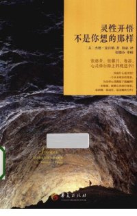 cover of the book 灵性开悟不是你想的那样: 不是你想的那样