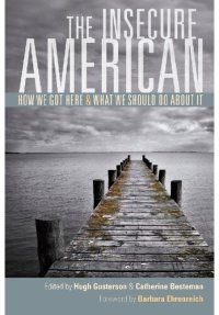 cover of the book The Insecure American: How We Got Here and What We Should Do About It