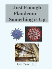 cover of the book Just Enough Plandemic – Something is Up, Unraveling the COVID Narrative