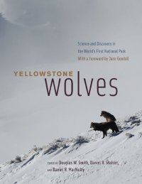 cover of the book Yellowstone Wolves: Science and Discovery in the World's First National Park