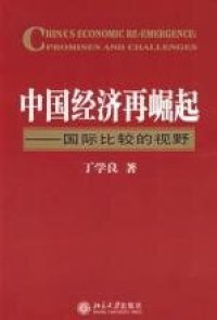 cover of the book 中国经济再崛起: 国际比较的视野