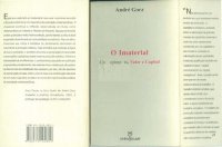 cover of the book O imaterial: conhecimento, valor e capital