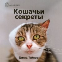 cover of the book Кошачьи секреты Дэвид Тэйлор