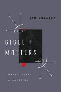 cover of the book Bible Matters: Making Sense of Scripture