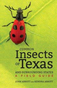 cover of the book Common Insects of Texas and Surrounding States: A Field Guide