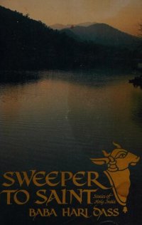 cover of the book Sweeper to Saint