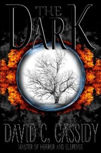 cover of the book The Dark