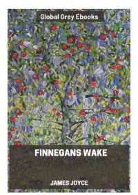 cover of the book Finnegans Wake