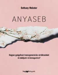 cover of the book Anyaseb