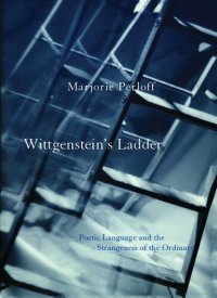 cover of the book Wittgenstein's Ladder: Poetic Language and the Strangeness of the Ordinary