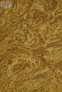 cover of the book Основы рационального питания.  Физиологические нормы питания взрослого человека при разных энерготратах организма