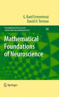 cover of the book Mathematical foundations of neuroscience