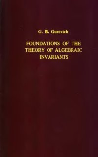 cover of the book Foundations of the theory of algebraic invariants