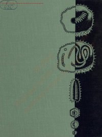 cover of the book Атлас анатомии и онтогенеза вирусов человека и животных