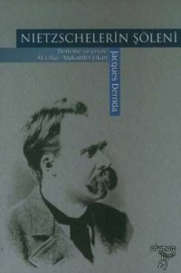 cover of the book Nietzschelerin Şöleni