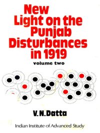 cover of the book NEW LIGHT ON THE PUNJAB DISTURBANCES IN 1919 (Vol 2)