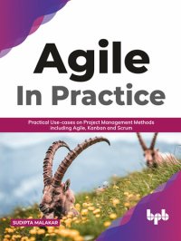 cover of the book AGILE in Practice: Practical Use-cases on Project Management Methods including Agile, Kanban and Scrum (English Edition)