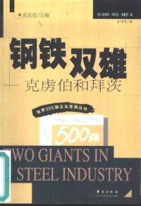 cover of the book 钢铁双雄