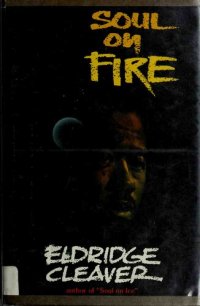 cover of the book Soul on Fire