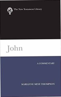 cover of the book John: A Commentary