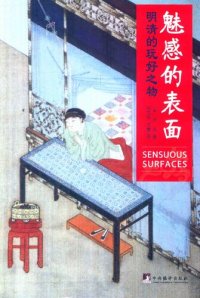 cover of the book 魅感的表面: 明清的玩好之物