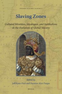 cover of the book Slaving Zones: Cultural Identities, Ideologies, and Institutions in the Evolution of Global Slavery