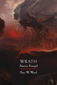 cover of the book Wrath - America Enraged