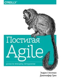 cover of the book Постигая Agile: ценности, принципы, методологии