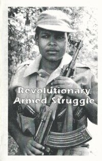 cover of the book Revolutionary Armed Struggle