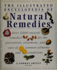 cover of the book The Illustrated Encyclopedia of Natural Healing Remedies