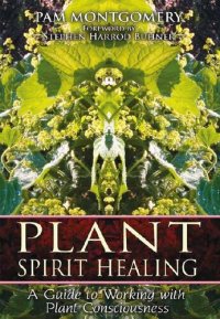 cover of the book Plant Spirit Healing: A Guide to Working with Plant Consciousness