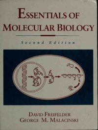 cover of the book Essentials of Molecular Biology