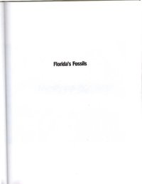 cover of the book Florida's fossils: guide to location, identification, and enjoyment