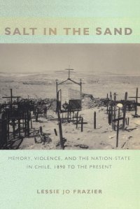 cover of the book Salt in the Sand: Memory, Violence, and the Nation-State in Chile, 1890 to the Present