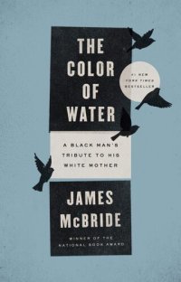 cover of the book The Color of Water: A Black Man's Tribute to His White Mother