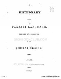 cover of the book A dictionary of the Panjábí language