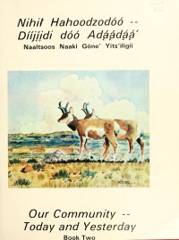 cover of the book NIHI HAHOODZODÓÓ -- DÍÍJÍIDI DÓÓ ADÁÁDÁÁ = Our Community -- Today and Yesterday. Book Two