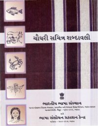 cover of the book ચૌધરી સયિત્ર શબ્દાવલી