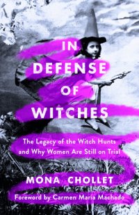 cover of the book In Defense of Witches - The Legacy of the Witch Hunts and Why Women Are Still on Trial