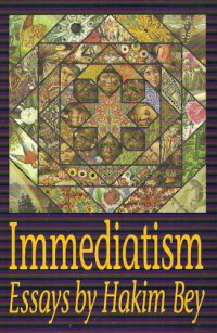 cover of the book Immediatism: Essays