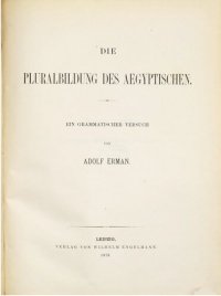 cover of the book Die Pluralbildung des Ägyptischen : Ein grammatischer Versuch