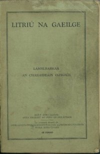 cover of the book Litriú na Gaeilge. Lámhleabhar an chaighdeáin oifigiúil