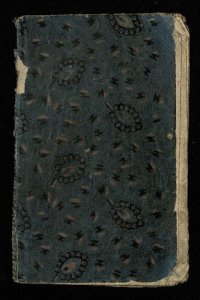 cover of the book Abezednik sa ſhóle na kmétih