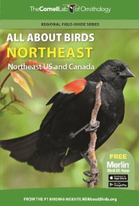 cover of the book All about birds. Northeast. Northeast US and Canada