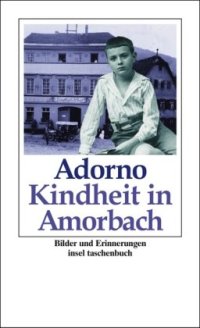 cover of the book Kindheit in Amorbach