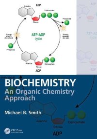 cover of the book Biochemistry An Organic Chemistry Approach (2020)