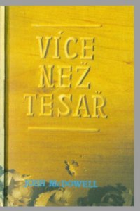 cover of the book Více než tesař