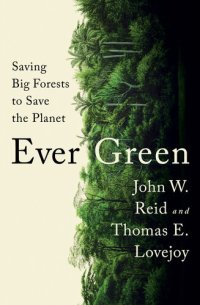 cover of the book Ever Green: Saving Big Forests to Save the Planet